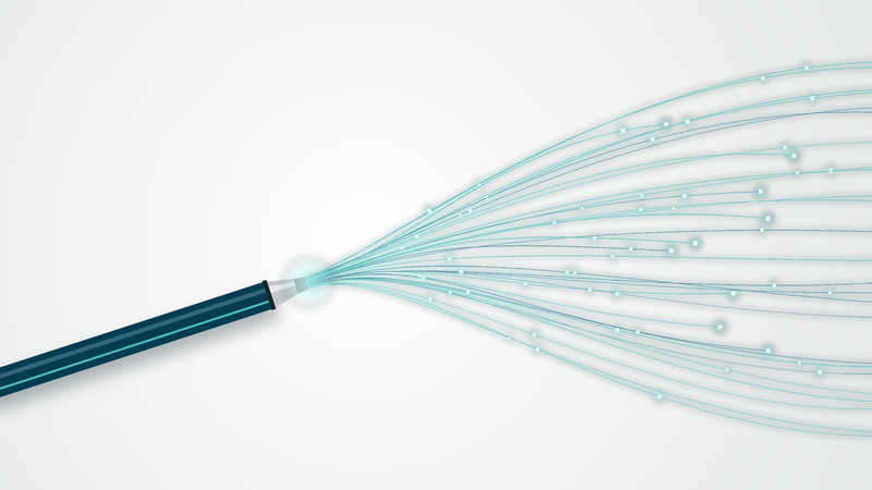 Fiber